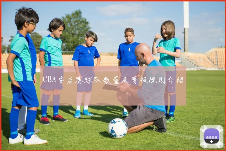 CBA季后赛球队数量及晋级规则介绍