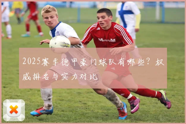 2025赛季德甲豪门球队有哪些？权威排名与实力对比